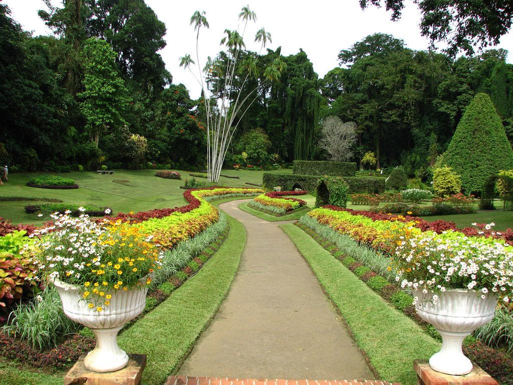 Apple Sara Home Stay Kandy Exterior foto